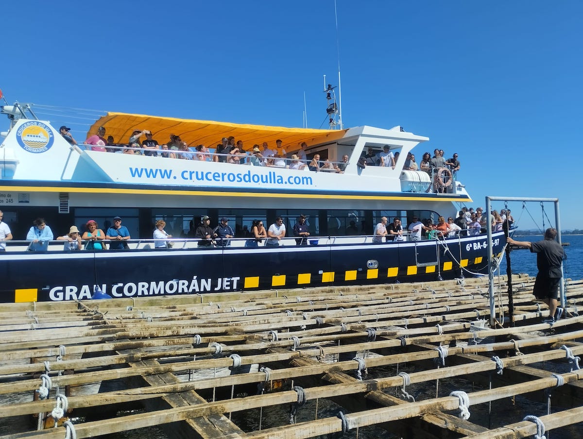 Guía explicando el funcionamiento de una batea de mejillones desde el mejor barco turístico en O Grove