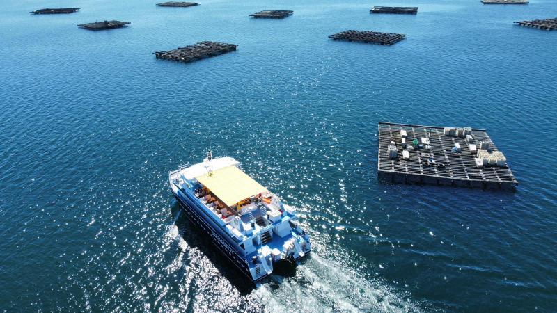 Catamarán navegando entre bateas mejilloneras en la Ría de Arousa durante la Ruta del Mejillón en O Grove