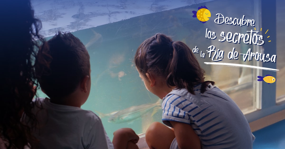 Niños observando el fondo marino desde la zona de visión submarina del catamarán en la Ría de Arousa